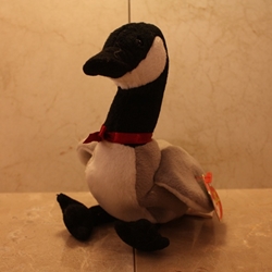Loosy, Canadian Goose, 5th Generation, Type 1