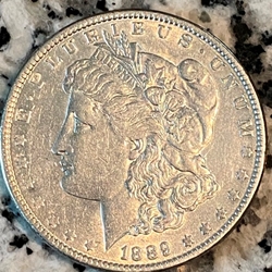 1889 Morgan Silver Dollar