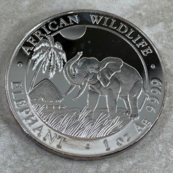 2017 100 Shillings Elephant, 1 oz Ag 999, Somalia