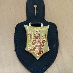 Bundeswehr Brustanhänger / Bundeswehr Pocket Badges 37