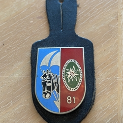 Bundeswehr Brustanhänger / Bundeswehr Pocket Badges 209